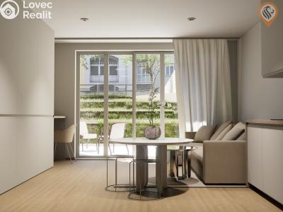 Sale apartment 1+KK Praha, Vinařská č. 1
