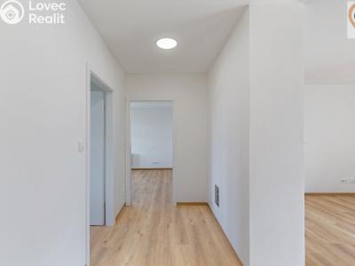 Pronájem bytu 4+KK Plzeň, Slovanská č. 8