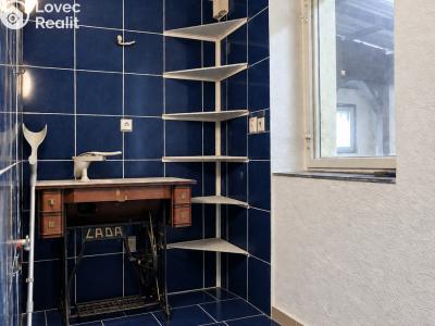 Prodej rodinného domu Blešno č. 14