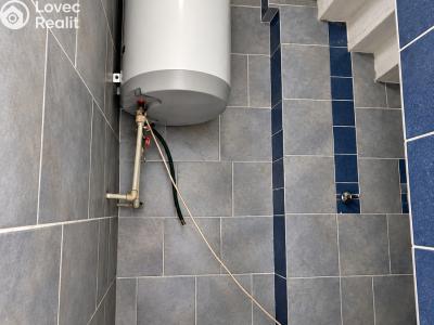 Prodej rodinného domu Blešno č. 29