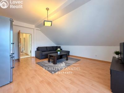 Rent apartment 2+KK Mrač č. 3
