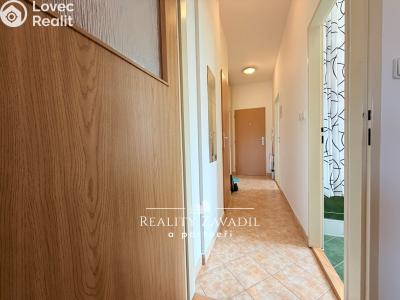 Rent apartment 2+KK Mrač č. 10
