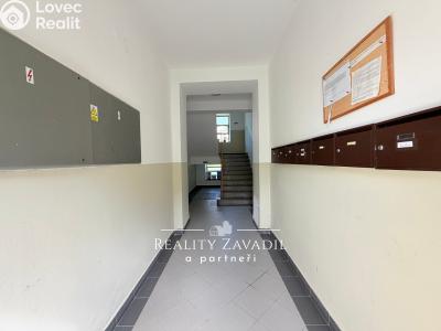 Rent apartment 2+KK Mrač č. 11