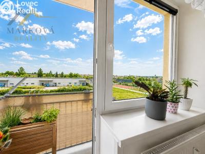 Оренда квартири 1+1 Dačice, Nivy 192 č. 3