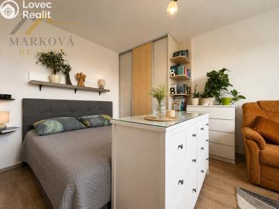 Оренда квартири 1+1 Dačice, Nivy 192 č. 4