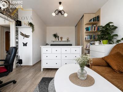 Оренда квартири 1+1 Dačice, Nivy 192 č. 5