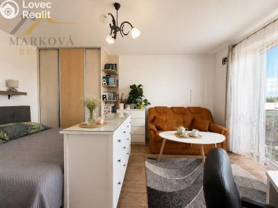 Оренда квартири 1+1 Dačice, Nivy 192 č. 6