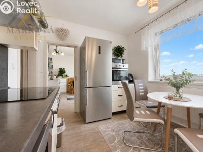Оренда квартири 1+1 Dačice, Nivy 192 č. 9