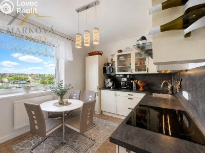 Оренда квартири 1+1 Dačice, Nivy 192 č. 11