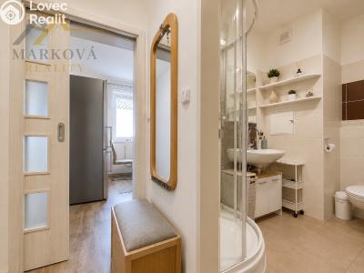 Оренда квартири 1+1 Dačice, Nivy 192 č. 12