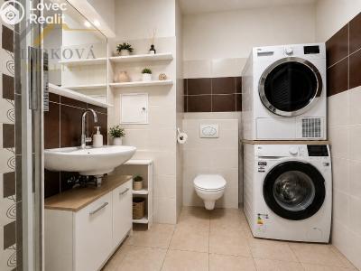 Оренда квартири 1+1 Dačice, Nivy 192 č. 13