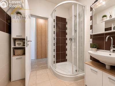 Оренда квартири 1+1 Dačice, Nivy 192 č. 14