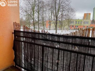 Pronájem bytu 1+1 Ostrava, Lechowiczova č. 3