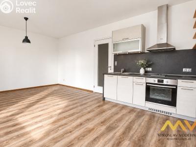 Rent apartment 1+KK Hradec Králové, Václavkova č. 2