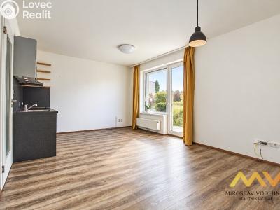 Rent apartment 1+KK Hradec Králové, Václavkova č. 3