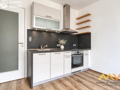 Rent apartment 1+KK Hradec Králové, Václavkova č. 4
