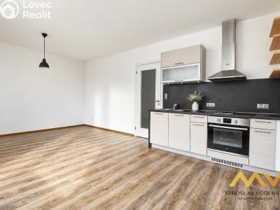 Rent apartment 1+KK Hradec Králové, Václavkova č. 7