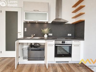 Rent apartment 1+KK Hradec Králové, Václavkova č. 8