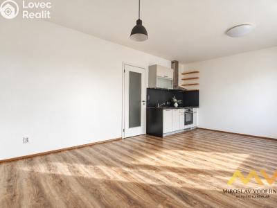 Rent apartment 1+KK Hradec Králové, Václavkova č. 10