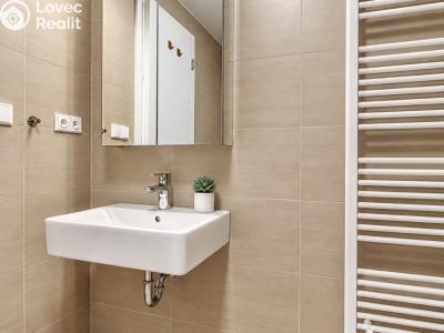 Rent apartment 1+KK Hradec Králové, Václavkova č. 14
