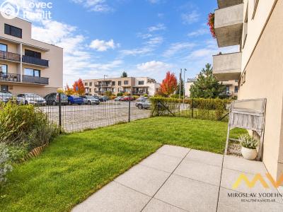 Rent apartment 1+KK Hradec Králové, Václavkova č. 17