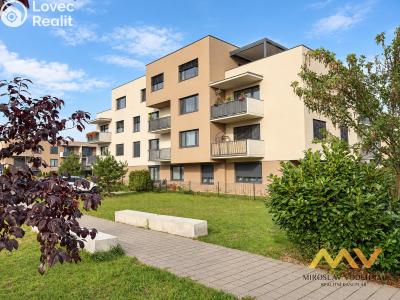 Rent apartment 1+KK Hradec Králové, Václavkova č. 19