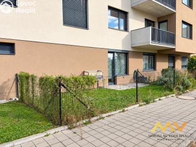 Rent apartment 1+KK Hradec Králové, Václavkova č. 20