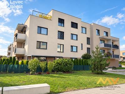 Rent apartment 1+KK Hradec Králové, Václavkova č. 24
