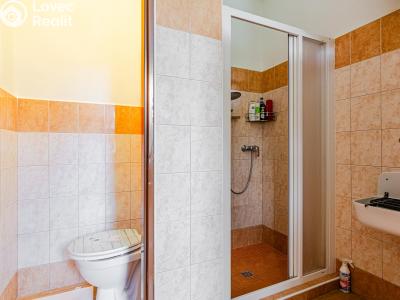 Продаж сімейного будинку Slabce č. 18