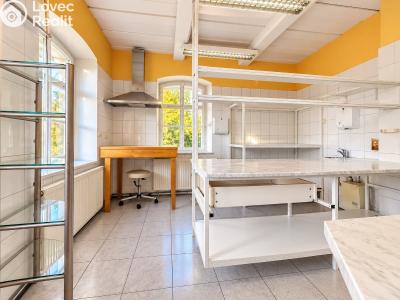 Prodej rodinného domu Krásná Lípa, Čelakovského č. 5