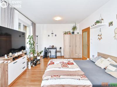 Prodej bytu 1+KK Praha, Sazovická č. 8
