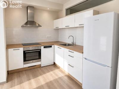 Rent apartment 1+KK Chlumec nad Cidlinou, Rooseveltova č. 1