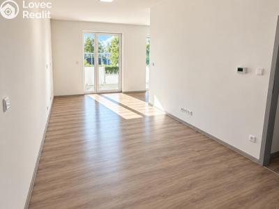 Rent apartment 1+KK Chlumec nad Cidlinou, Rooseveltova č. 2