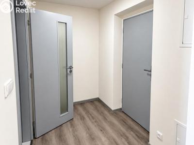 Rent apartment 1+KK Chlumec nad Cidlinou, Rooseveltova č. 7