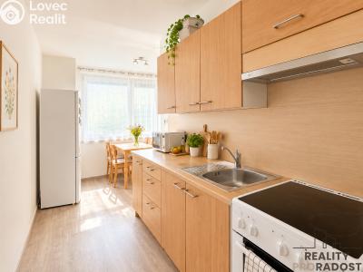 Rent apartment 1+1 Hodonín, Brandlova č. 1