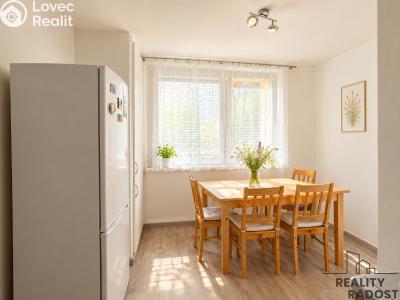 Rent apartment 1+1 Hodonín, Brandlova č. 2