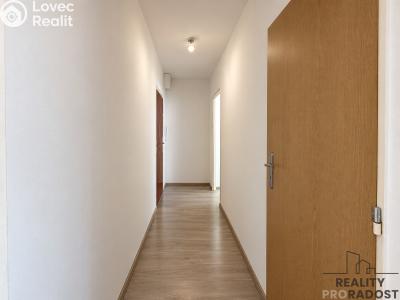 Rent apartment 1+1 Hodonín, Brandlova č. 4