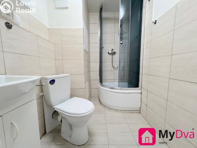 Pronájem bytu 1+1 Znojmo, Pražská č. 4