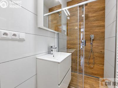 Rent apartment 2+1 Prostějov, Brněnská č. 1