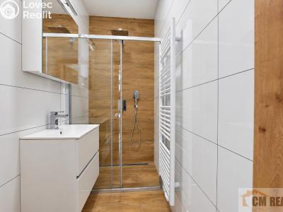Rent apartment 2+1 Prostějov, Brněnská č. 8