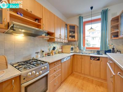 Rent apartment 3+KK Samotišky, Zahradní č. 2