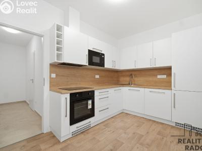 Rent apartment 1+1 Pardubice, Teplého č. 1