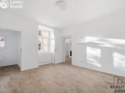 Rent apartment 1+1 Pardubice, Teplého č. 3