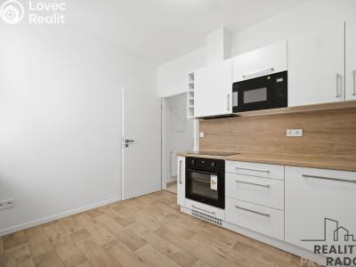 Rent apartment 1+1 Pardubice, Teplého č. 4