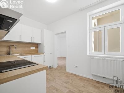 Rent apartment 1+1 Pardubice, Teplého č. 6