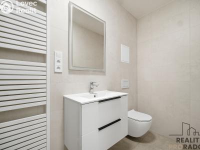 Rent apartment 1+1 Pardubice, Teplého č. 7