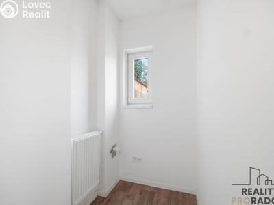 Rent apartment 1+1 Pardubice, Teplého č. 10