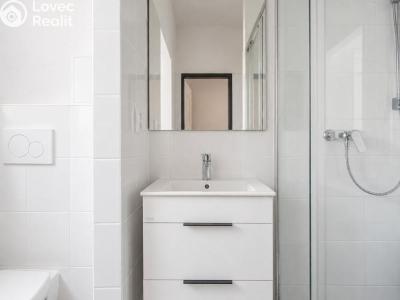 Rent apartment 2+1 Hradec Králové, Labská kotlina č. 3