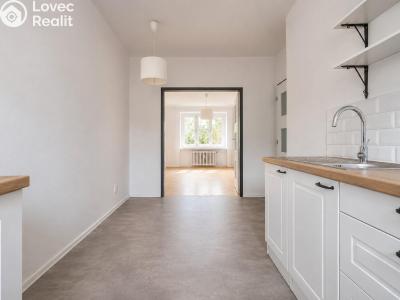 Rent apartment 2+1 Hradec Králové, Labská kotlina č. 8
