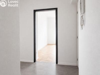 Rent apartment 2+1 Hradec Králové, Labská kotlina č. 10